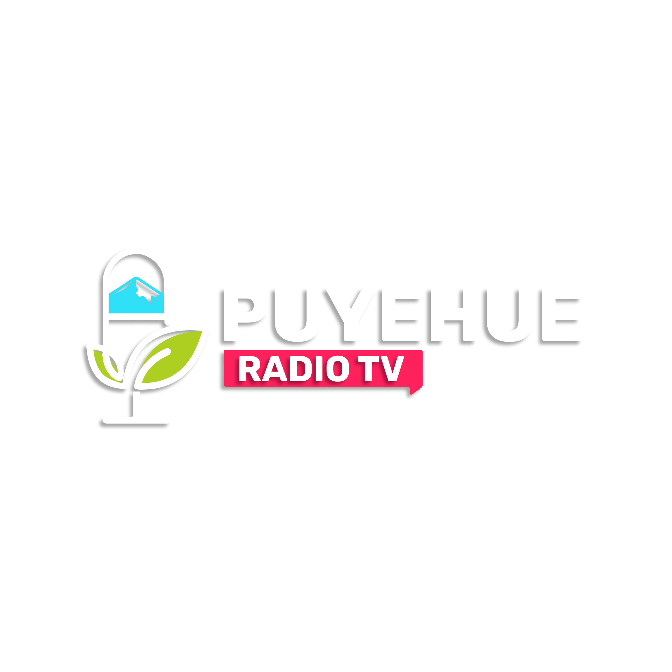 logo horizontal